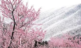 河南年后还会有雪吗