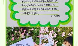 孩子从小就学习科学知识对孩子的好处