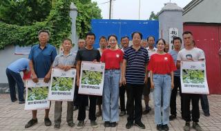 河北农业大学现代科技学院怎么样